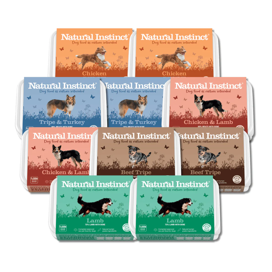 Raw Food For Dogs